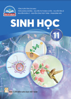 Sinh học 11 (Chân trời sáng tạo)