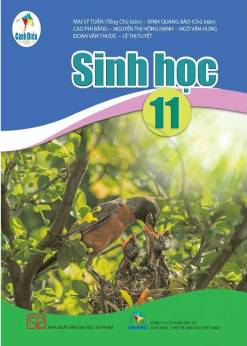 Sinh học 11 (Cánh diều)
