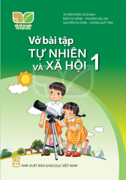 Vở bài tập tự nhiên và xã hội 1 (Kết nối tri thức)