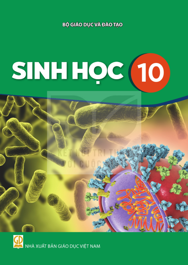 Sinh học 10 (Nxb Giáo Dục Việt Nam) - Bán kèm bìa bao sách