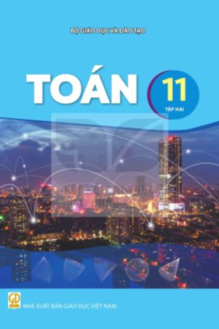 Toán 11 – Tập 2 (Nxb Giáo Dục Việt Nam) - Bán kèm bìa bao sách